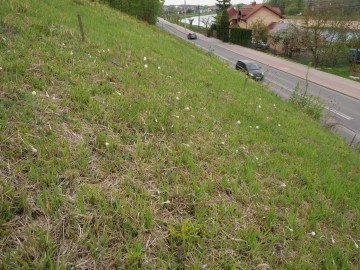 zawil. 6.05.26 14, 